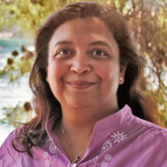 Dr. Ir. Neeli Prasad